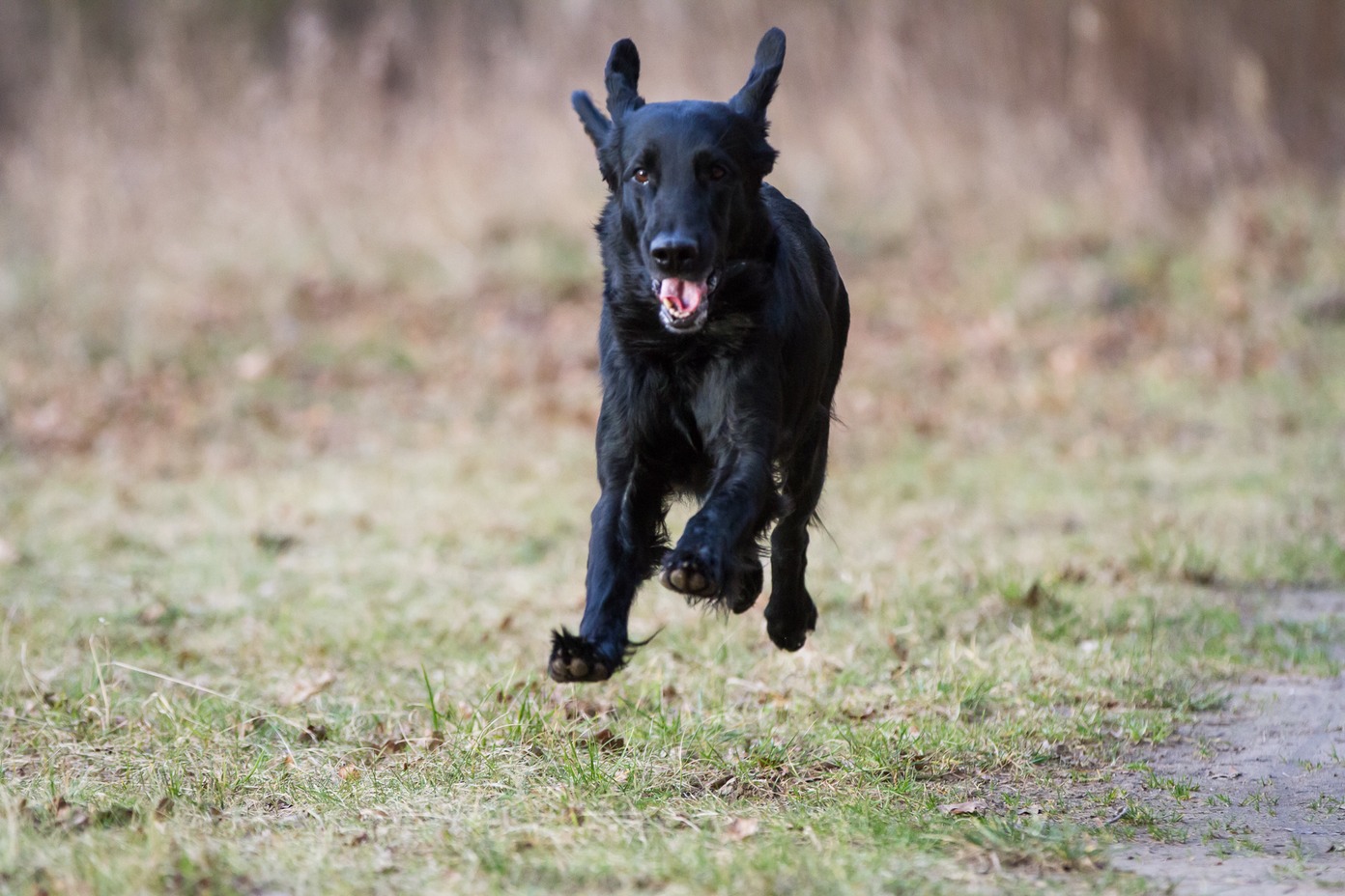 010img_0030_thomas burkhard_med_hr.jpeg