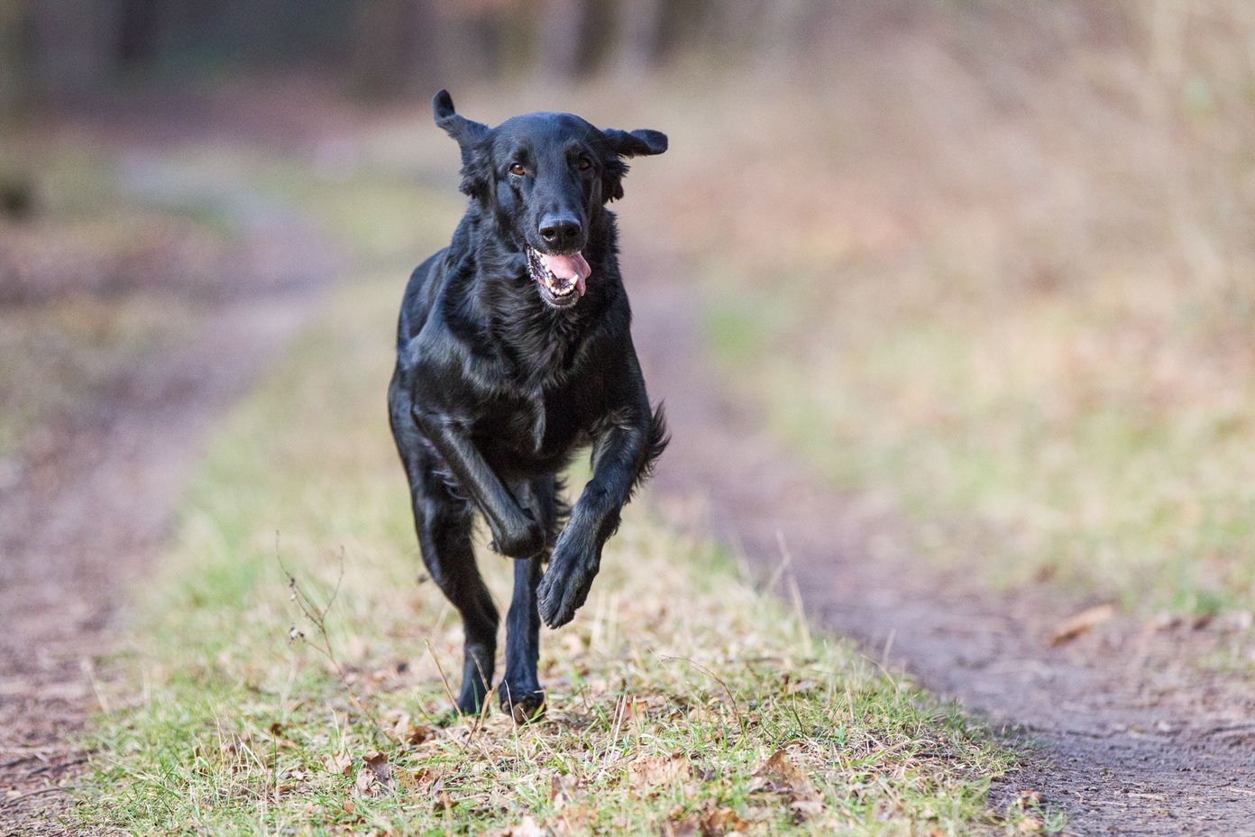 012img_0039_thomas burkhard_med_hr.jpeg