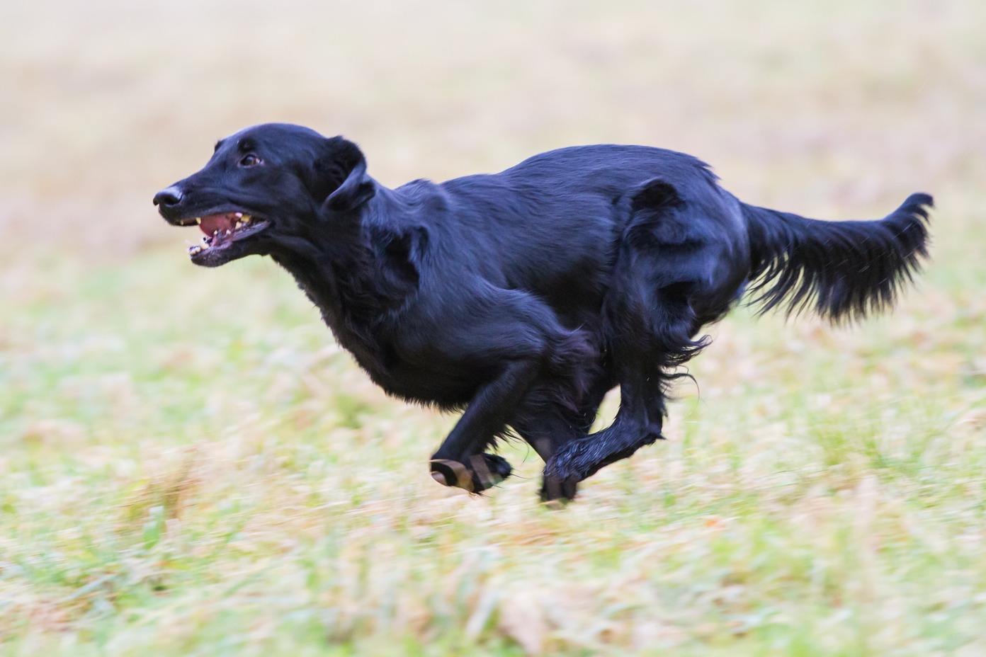 013img_0153_thomas burkhard_med_hr.jpeg