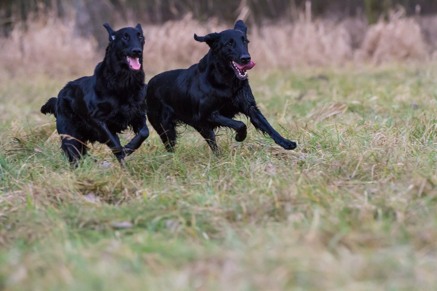 014img_0352_thomas burkhard_med_hr.jpeg