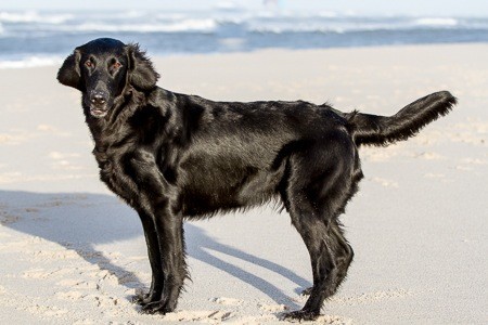 ilea standbild_med_hr