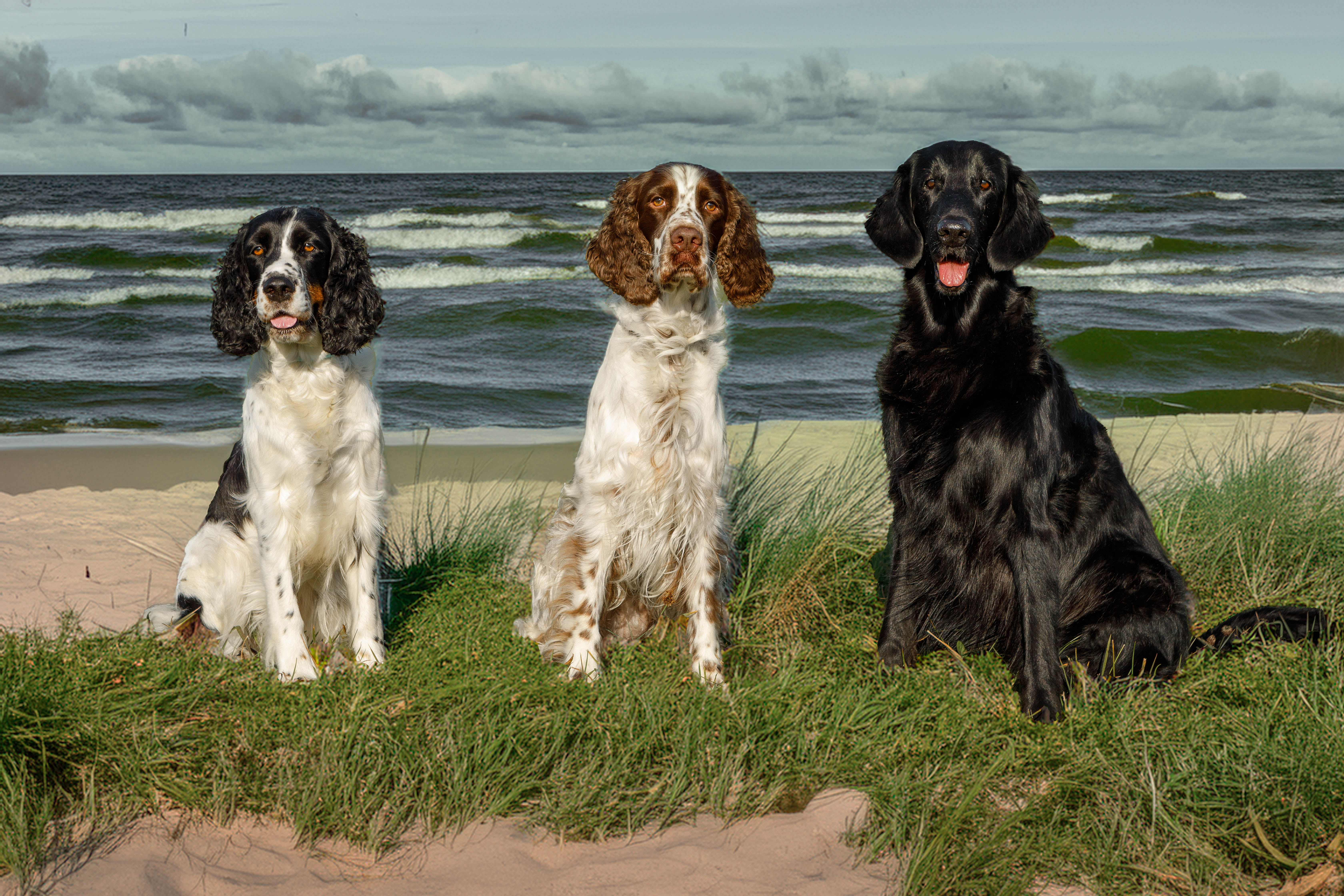 Unsere%20Hunde%202025