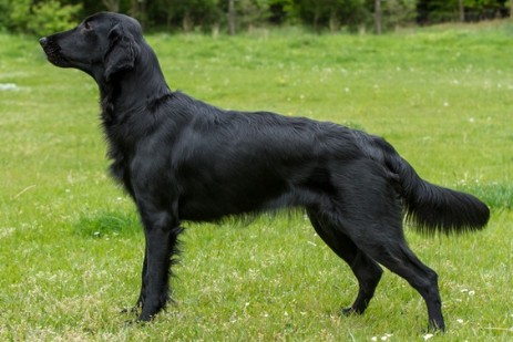 ilea standbild_med_hr