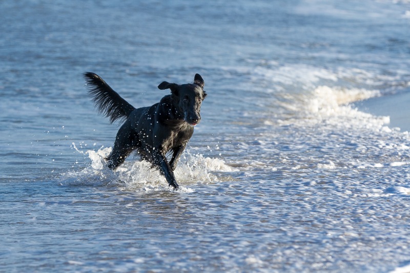 sylt 2013 4739_med_hr.jpeg